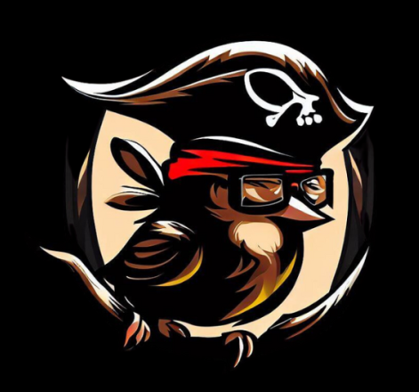 Video Geek Sparrow